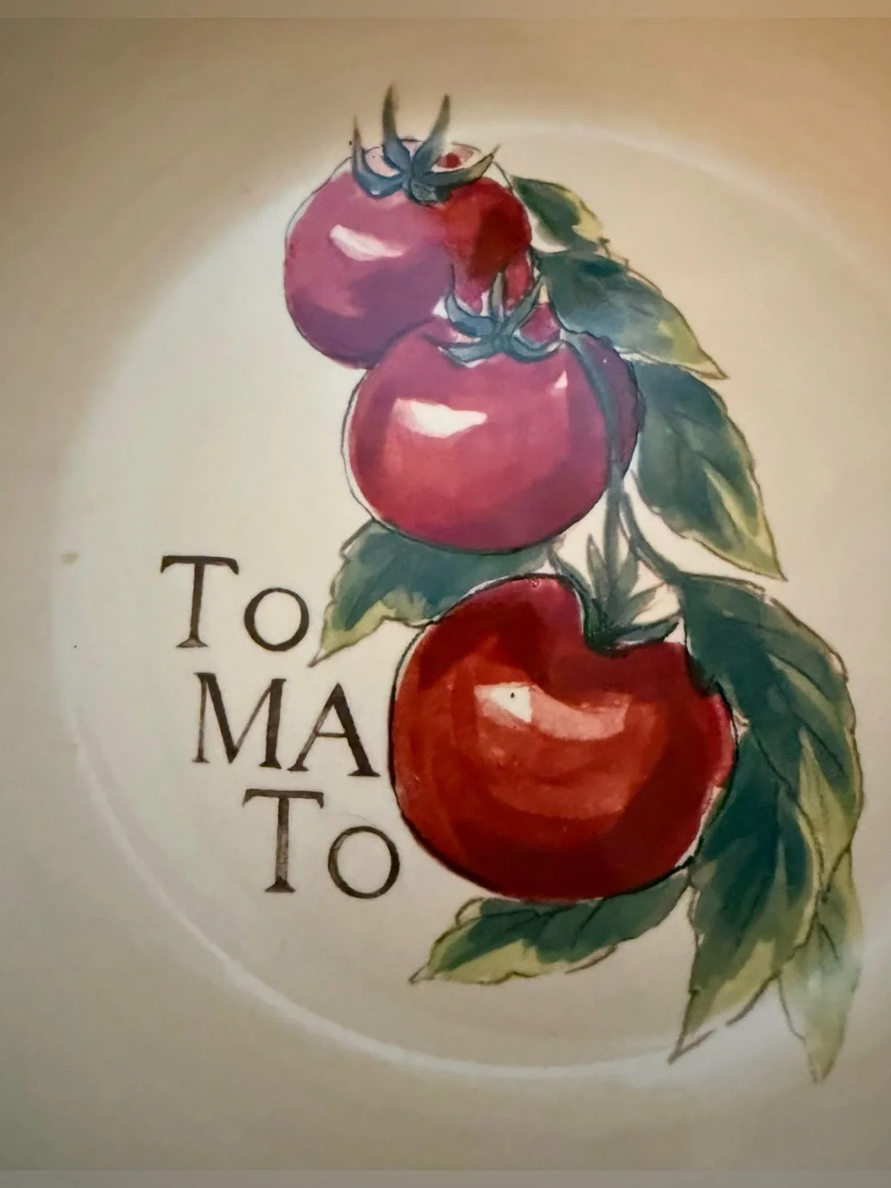 RARE Williams Sonoma 9
